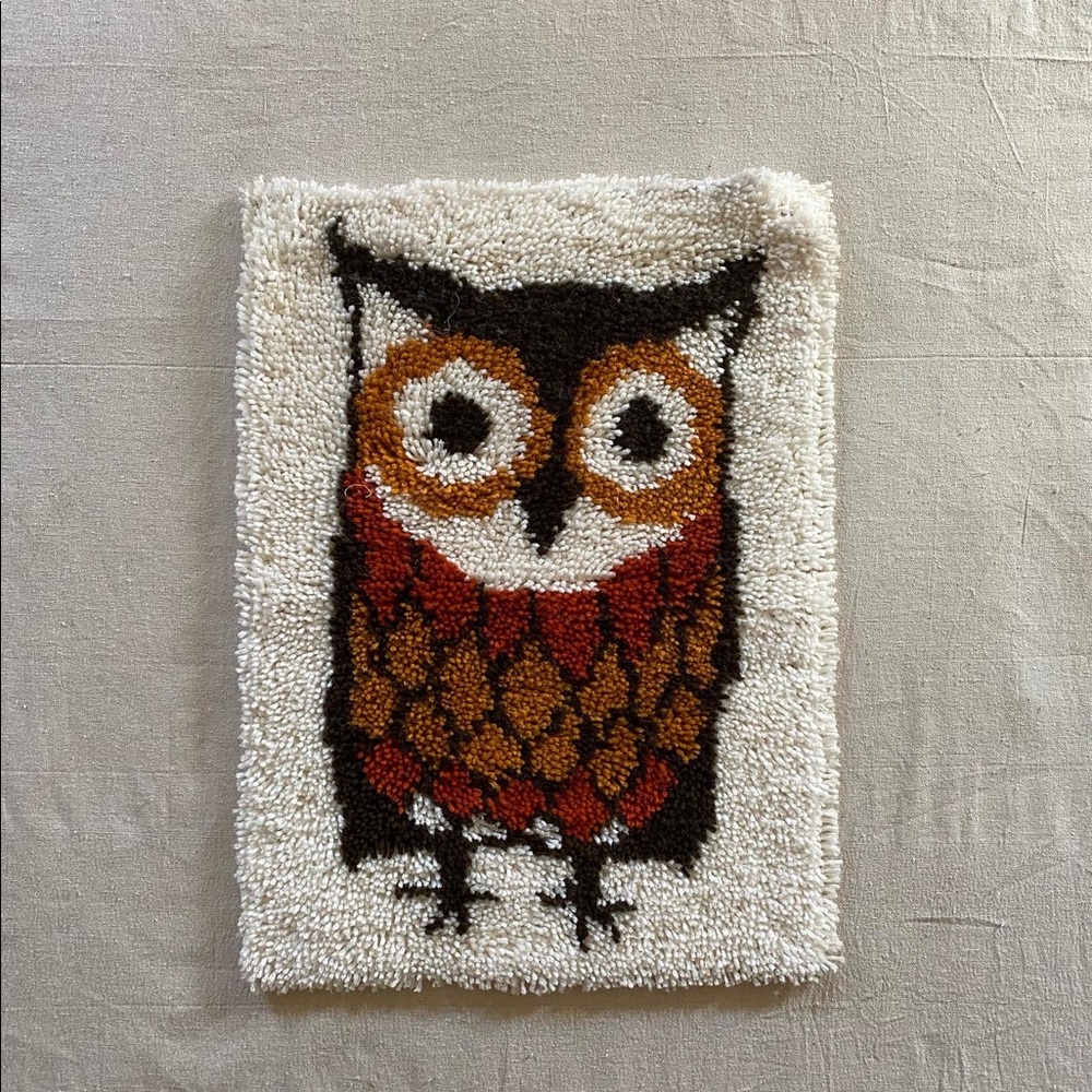 Vintage owl latch hook art wall hanging🦉💫